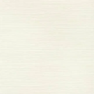 T13343.jpg