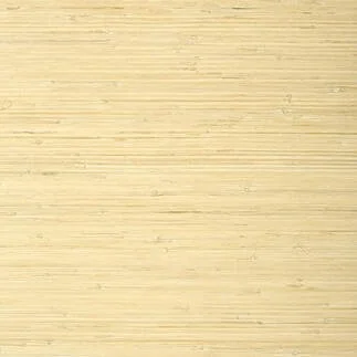 T24065.jpg