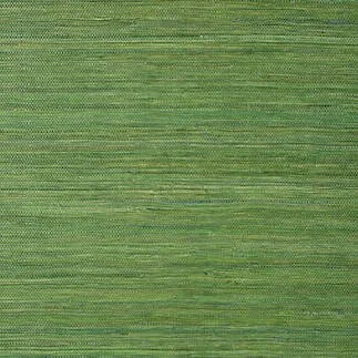 T24074.jpg