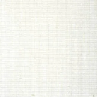 T24104.jpg