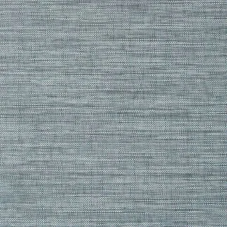 T24111.jpg