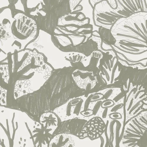 reef.seaweed-crop-min.jpg