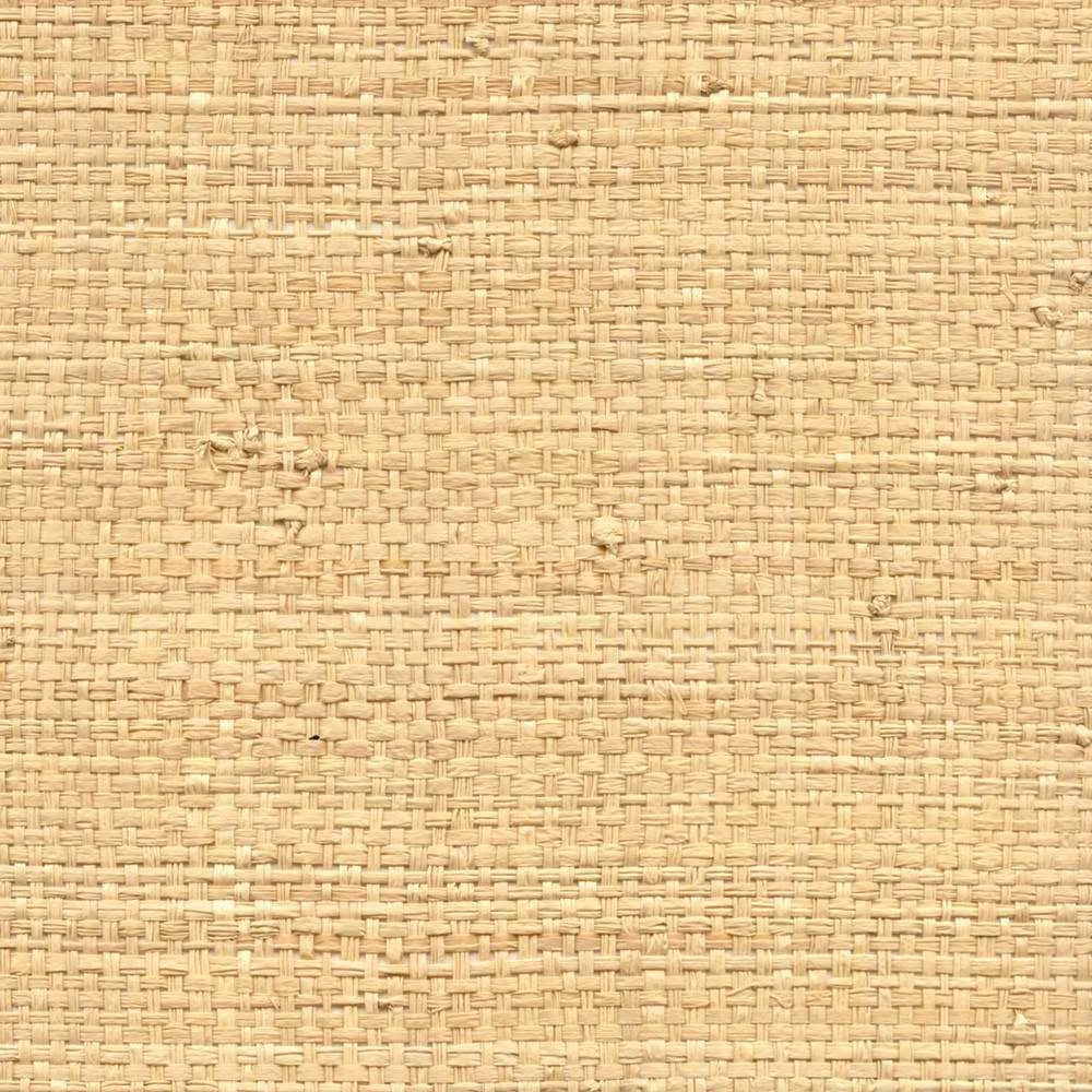SCAN-CMO-WRA-04-01-1000x1000-min.jpg