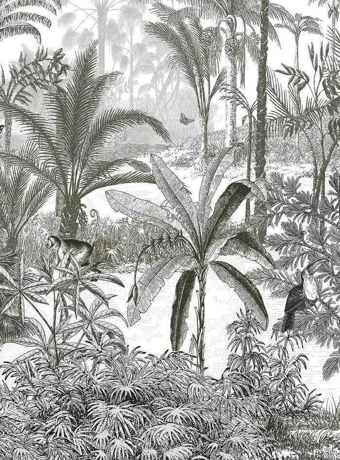 image (73).jpg