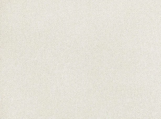 W423-01-lyra-wallcovering-crema_02.jpg