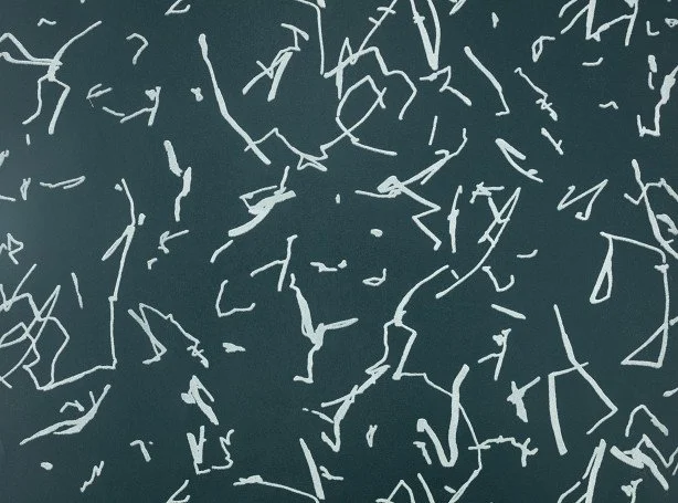 WK824-05-scribble-wallcovering-noir_00.jpg