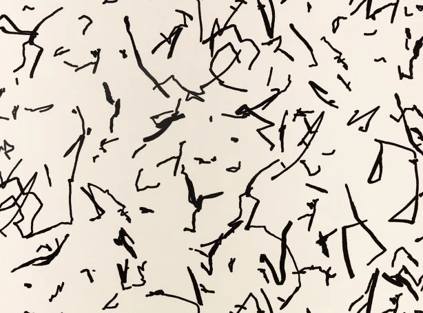WK824-04-scribble-wallcovering-_00.jpg
