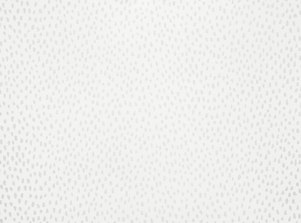 W618-02-speckle-wallcovering-birch_01.jpg