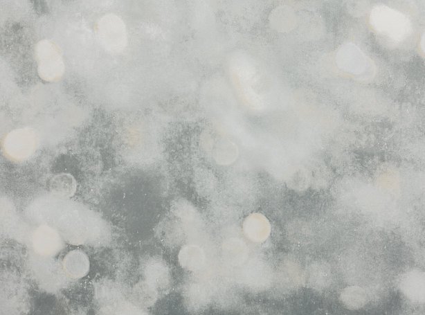 W613-02-bokeh-_00.jpg