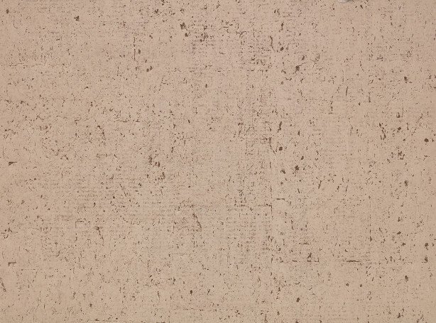 ZW144-05-oolite-matt-wallcovering-truffle_01.jpg