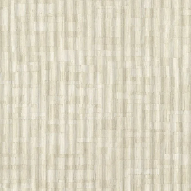 T41019-min.jpg