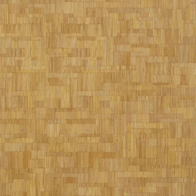T41022-min.jpg