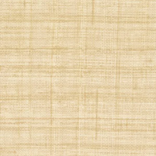 mural-matieres-vegetales-abaca-textures-vegetales-vp-983-05-e25dd4d75c4914da63ecd47e51.jpg