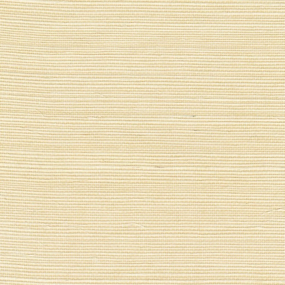 cmo-wsi-01-17-1000x1000-min.jpg
