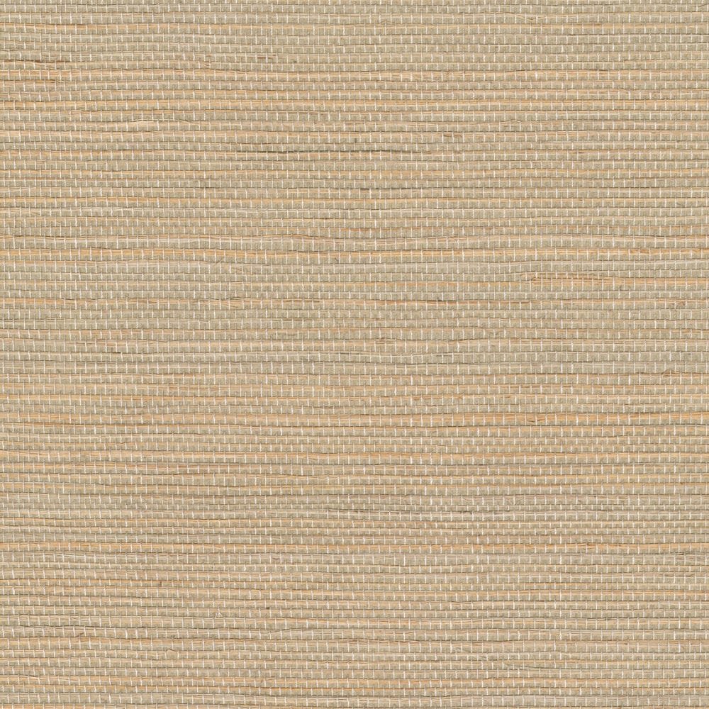 cmo-wsi-01-22-1000x1000-min.jpg