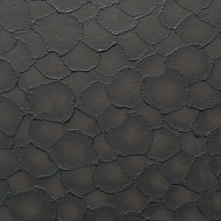 Helicon---Lonar.jpg