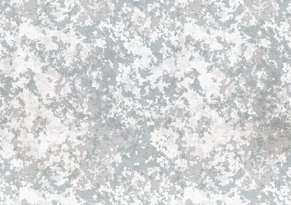 FN0101-d-1000x707.jpg