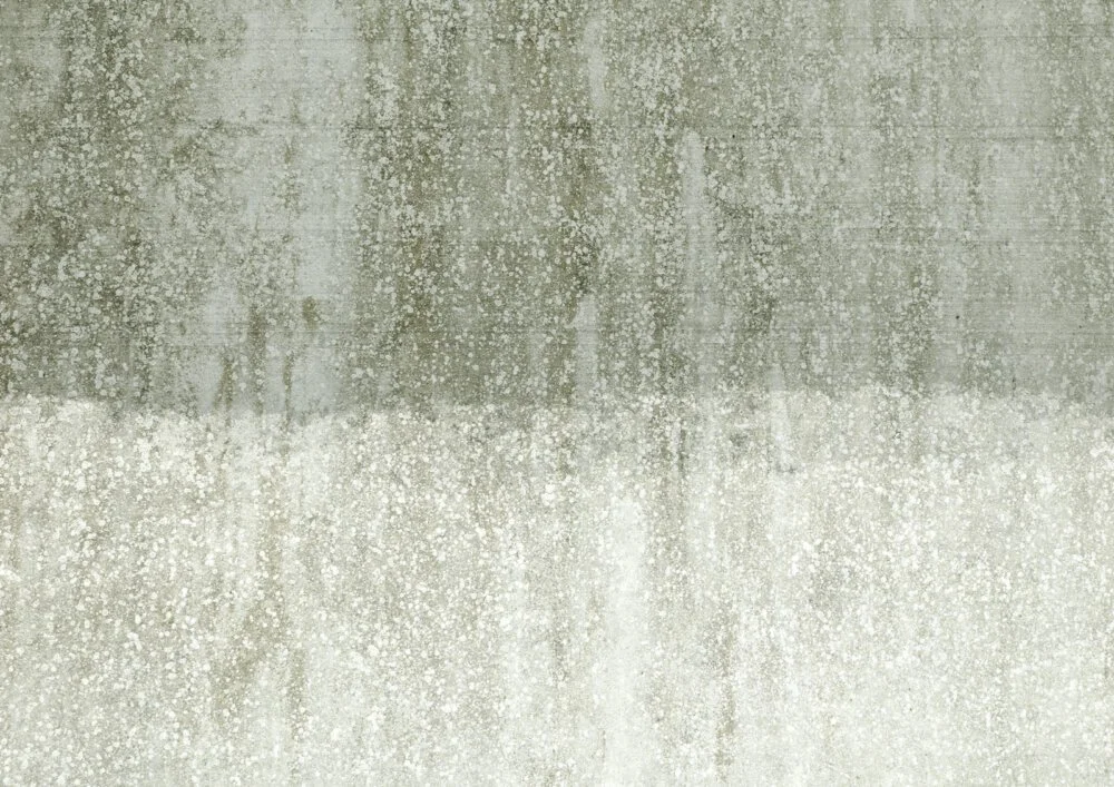 FN0301-d-1000x707.jpg