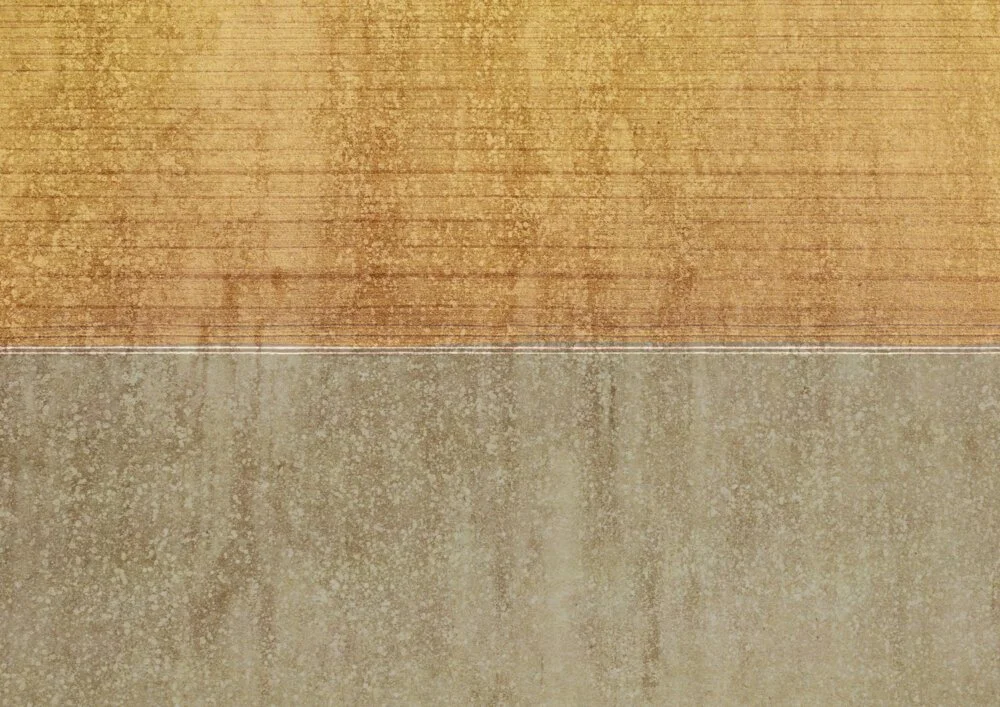 FN0503-d-1000x707.jpg