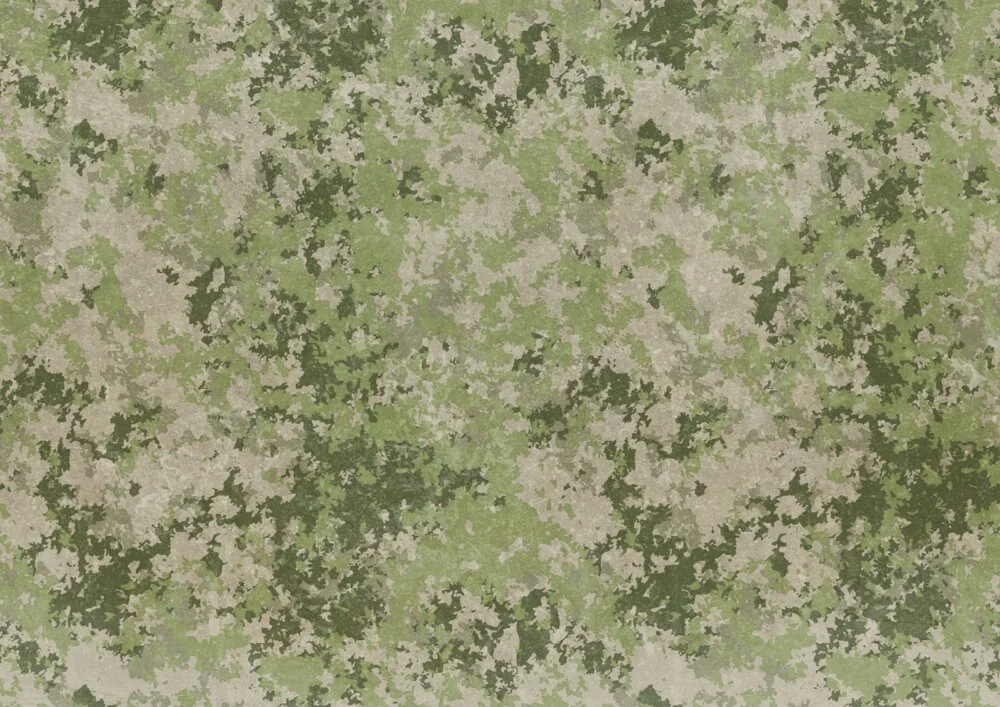 FN0103-d-1000x707.jpg