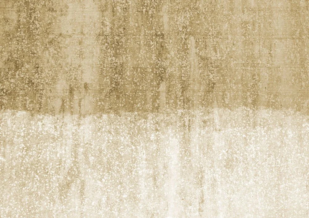 FN0305-d-1000x707.jpg