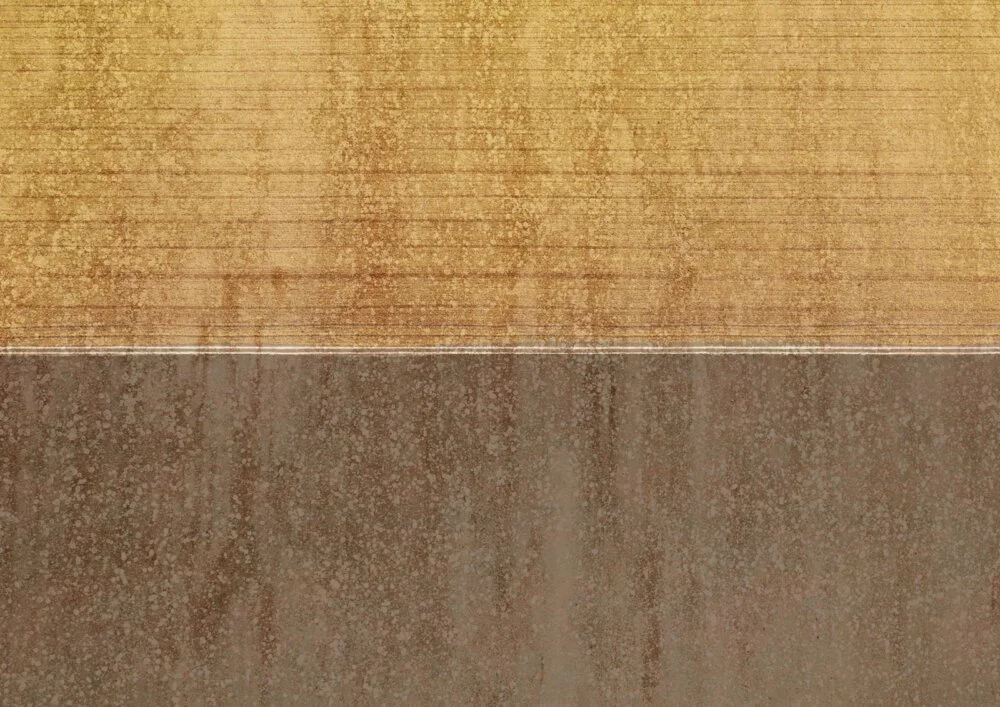FN0501-d-1000x707.jpg