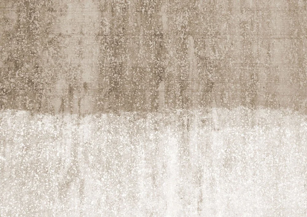 FN0303-d-1000x707.jpg