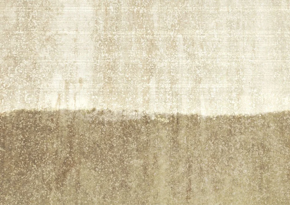 FN0306-d-1000x707.jpg