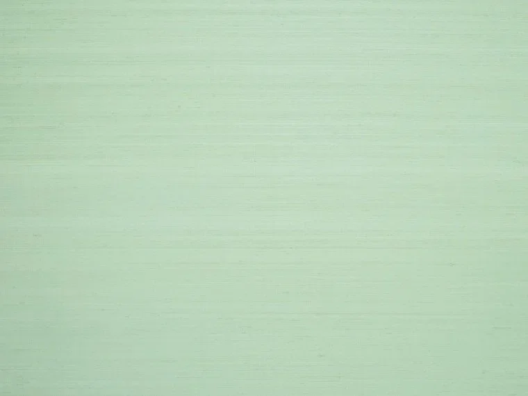 Shiva BP334019 - Sauge