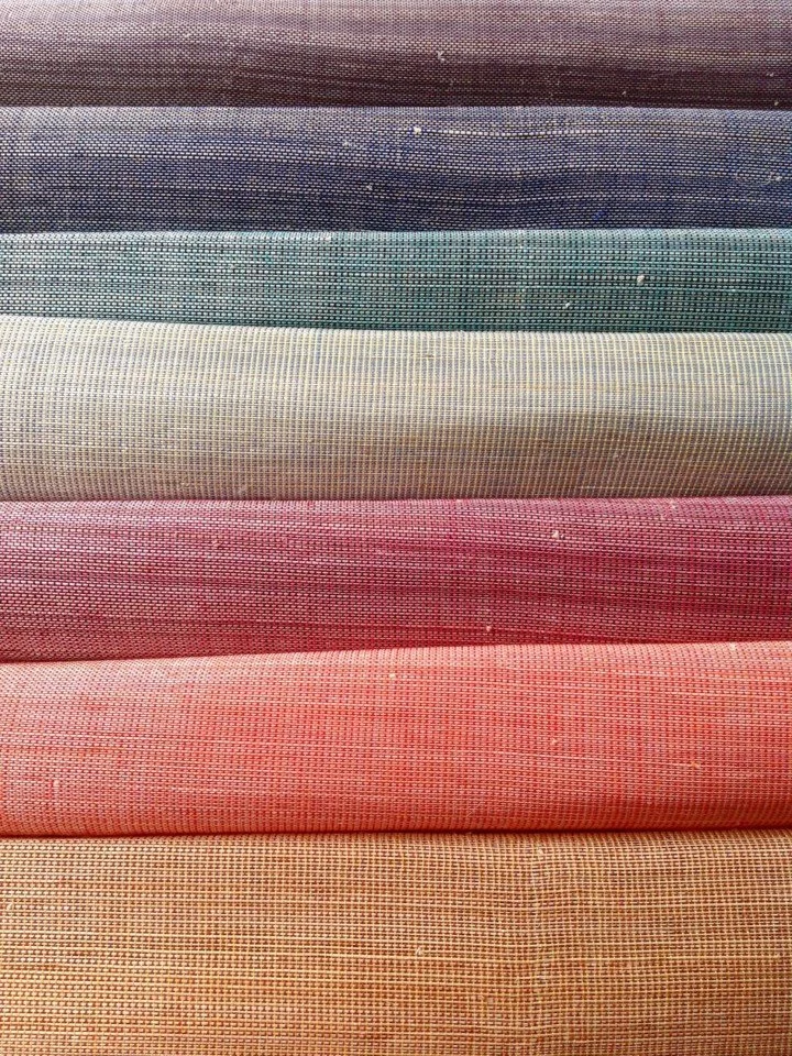 Polyabaca