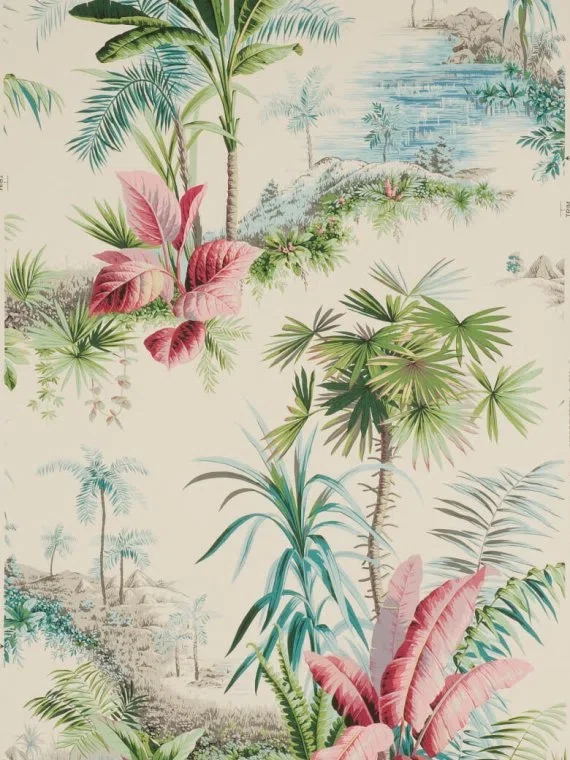 Alexandrie FP192002 - Bégonia