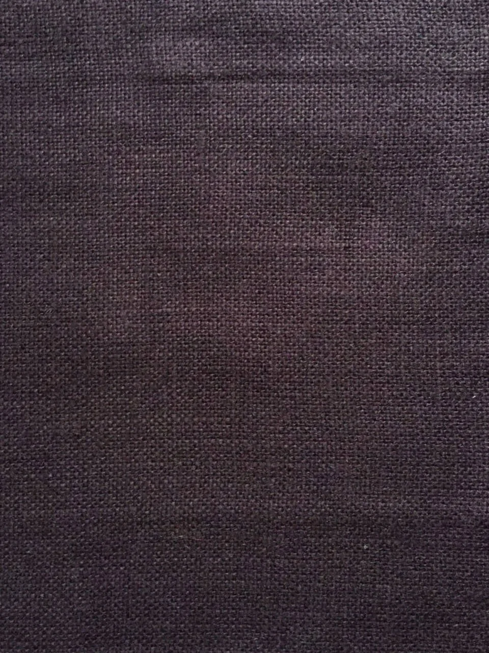 Trinidad Cassis 0195
