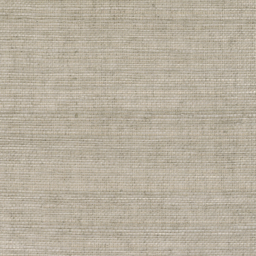 cmo-wsi-01-10.png