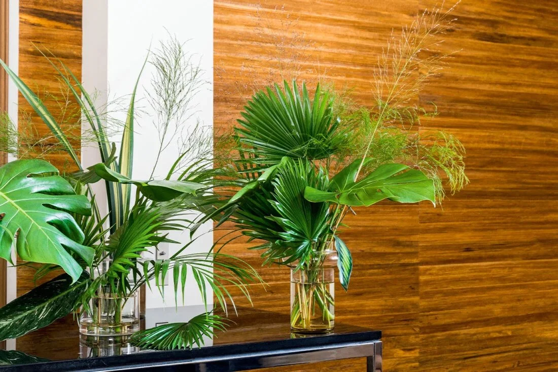 Feuilles De Bananier