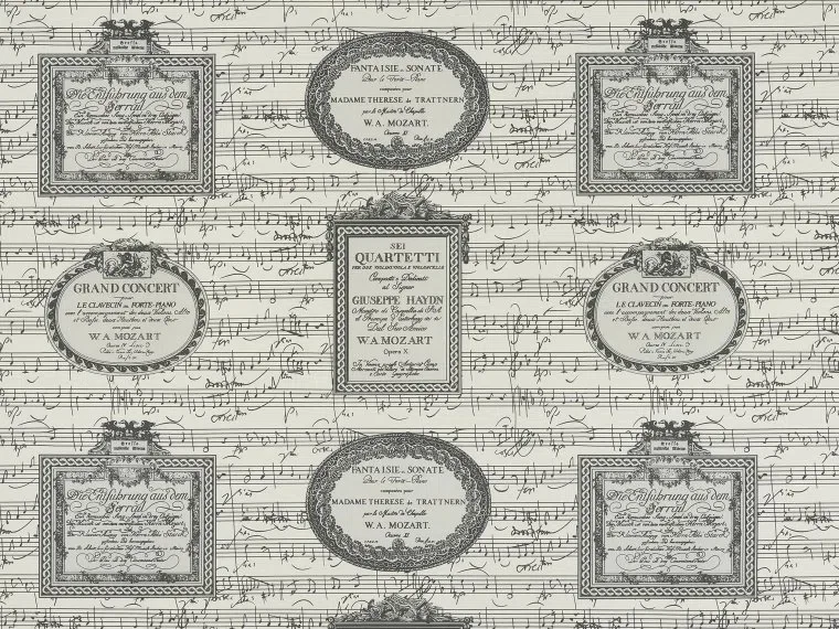 Pentagrama FP862001 - Craie