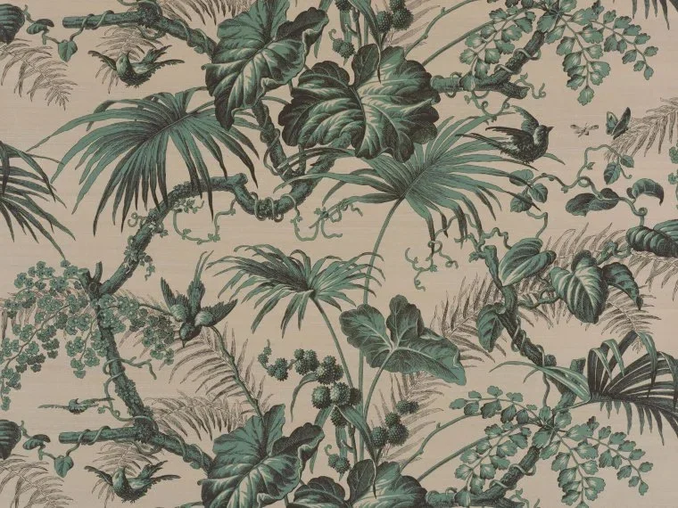 La perouse BP321003 - Sous Bois