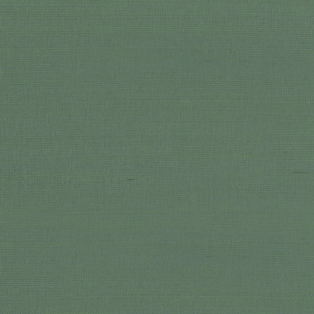 9981.jpg