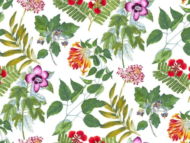 Miami FP318001 - Été