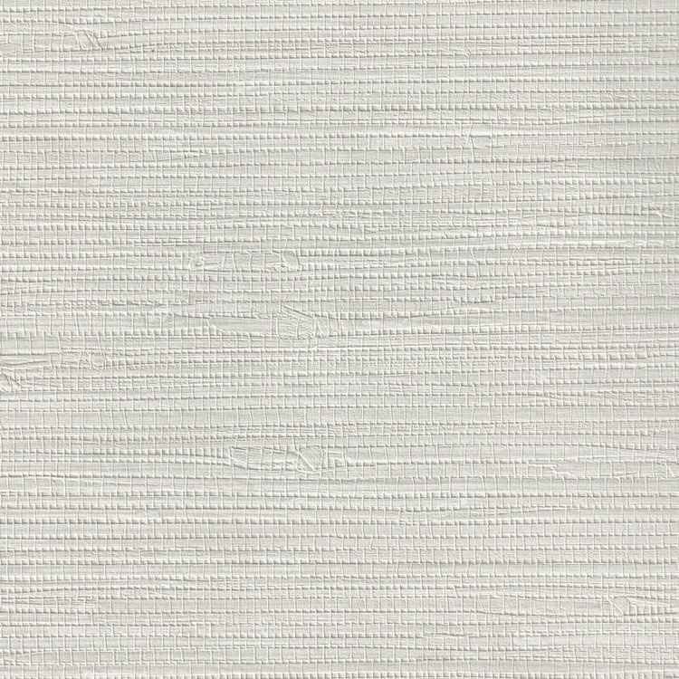 BSVI-08-2.jpg