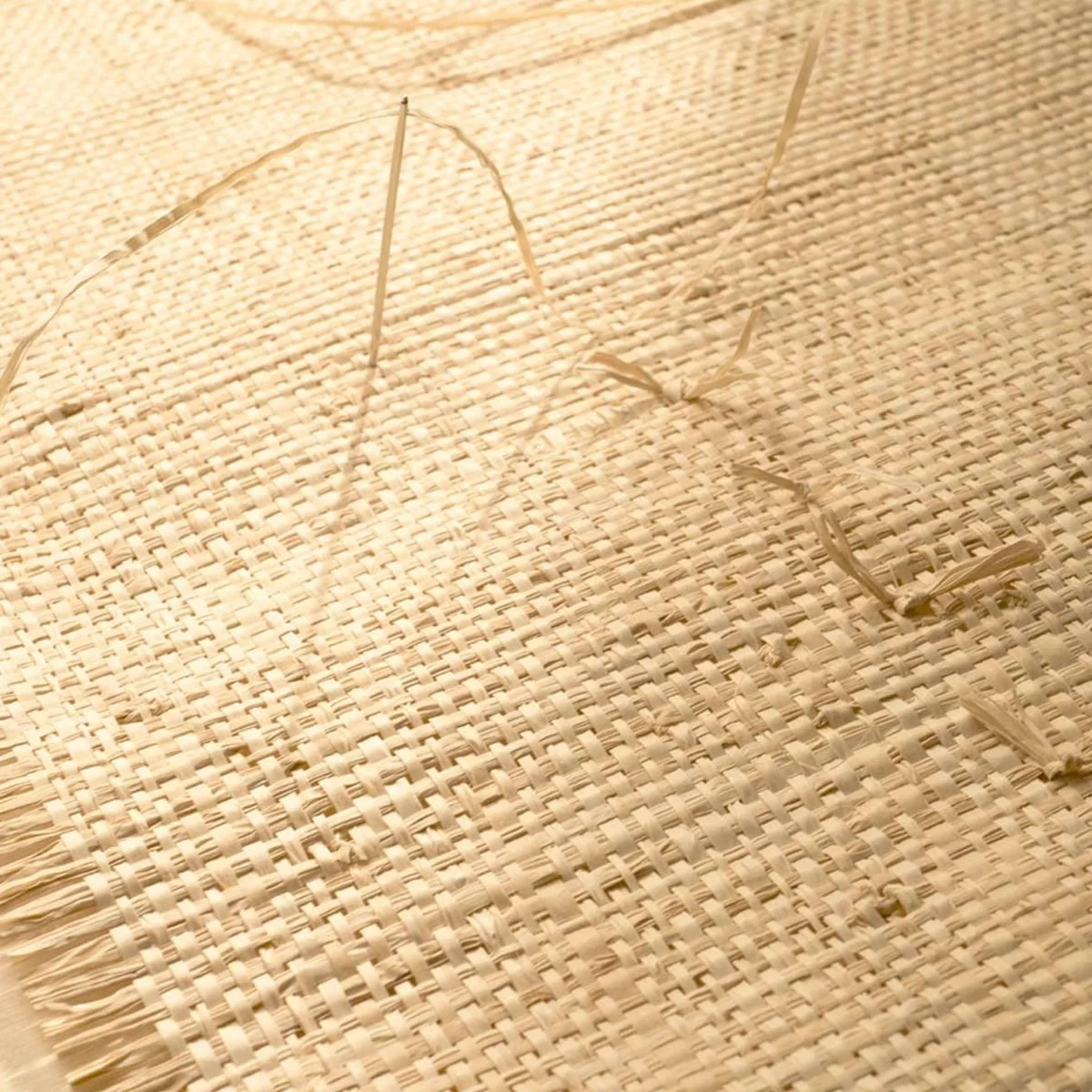 Iranja - Sous les tropiques