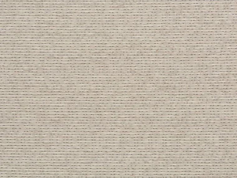 Bouleau FP457001 - Ecorce