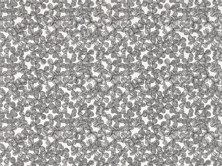 Chance FP099003 - Charbon