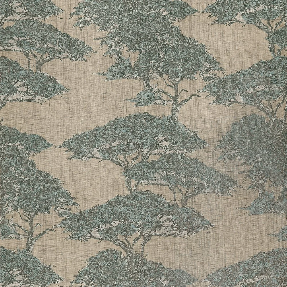 T24437.jpg