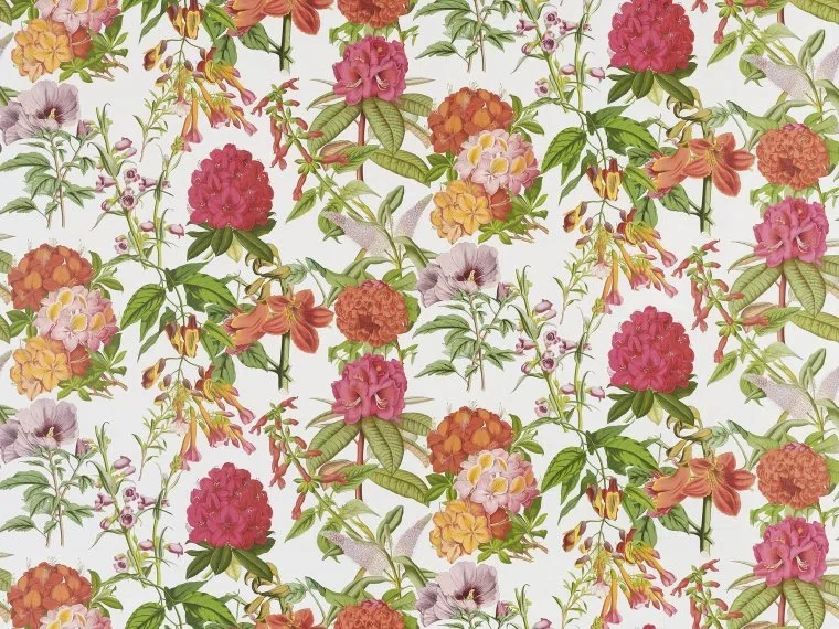 Les rosages FP757001 - Rouge