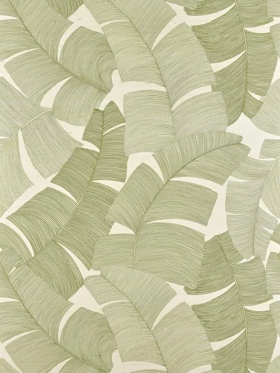 Tikehau FP975003 - Palmier