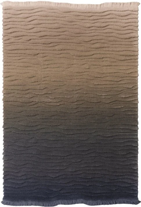 Bedforms Blue Desert