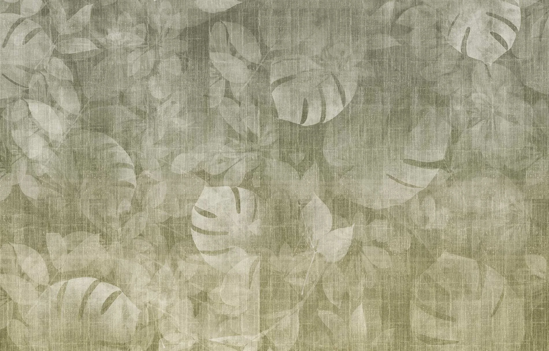 Transition Tropic ID 1004