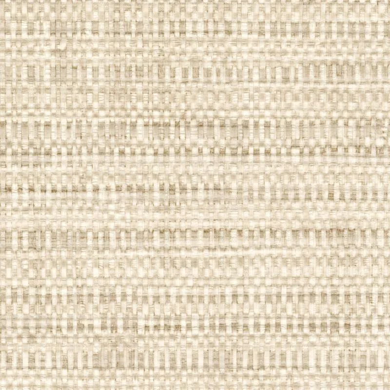 mural-magascar-arrowroot-raw-raffia1-raffia-ii-vp-1048-05-f56163585a709f7e94f0b71f19eb.jpg