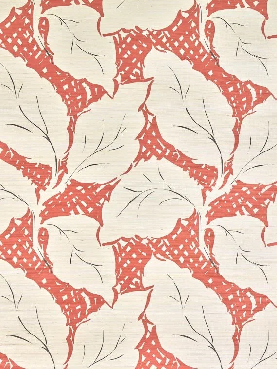 Daphne FP109004 - Corail