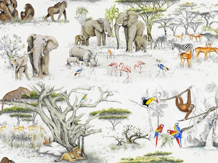 Masai Mara FP433001 - Original